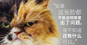 貓瘟會通過什么傳染 會通過空氣傳播嗎